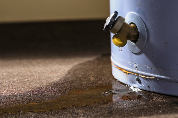 Trusted Newburyport, MA Water damage restoration Experts