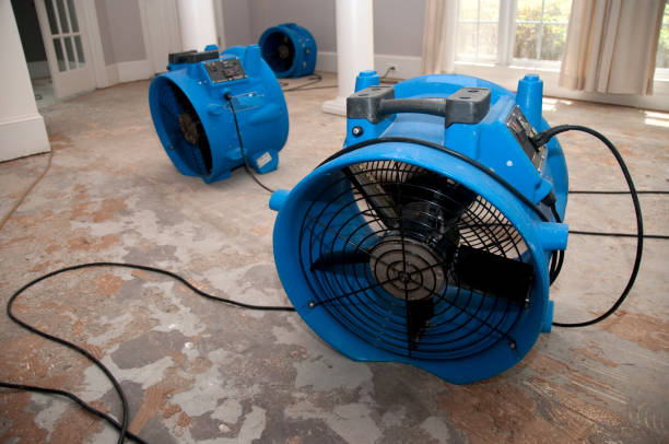 Best Water damage restoration near me  in Newburyport, MA