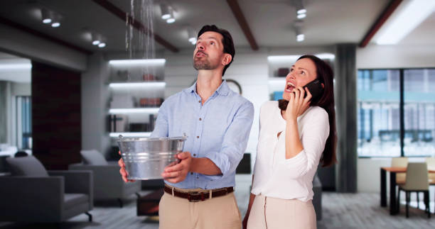 Best Local water damage restoration  in Newburyport, MA
